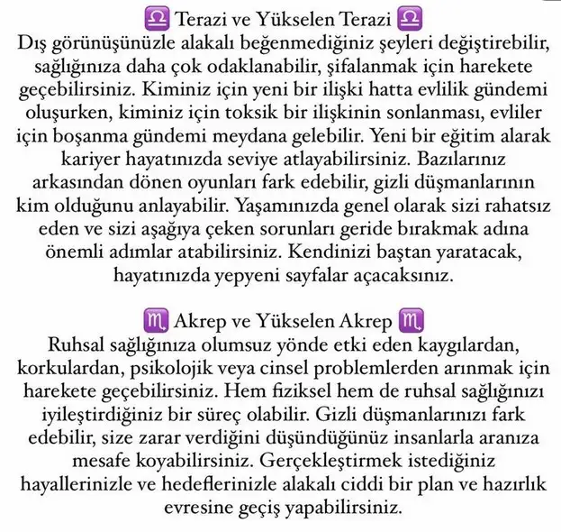 t21 (5).webp