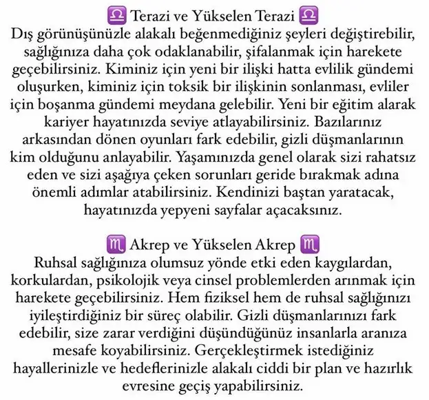 t21 (6).webp