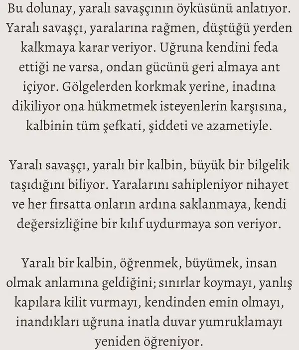 t22 (10).webp