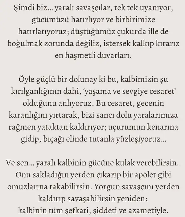 t22 (11).webp