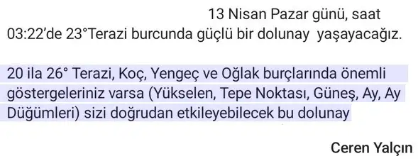 t22 (12).webp