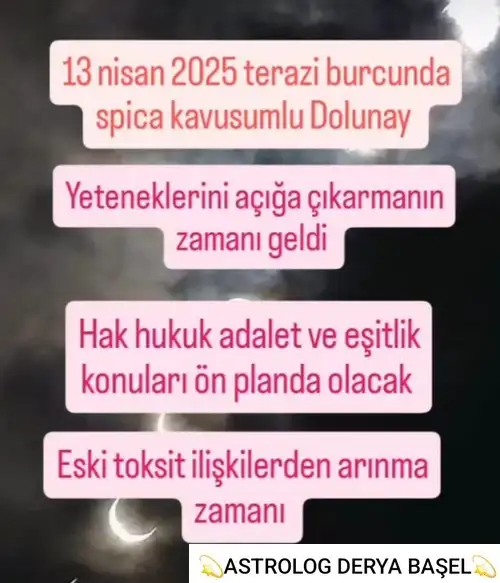 t22 (2).webp