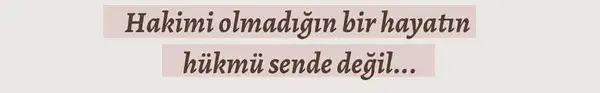 t22 (2).webp