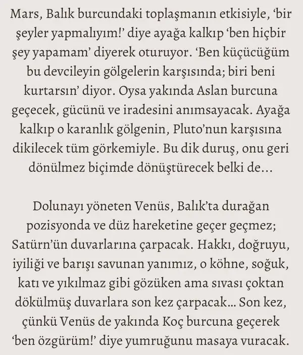 t22 (7).webp