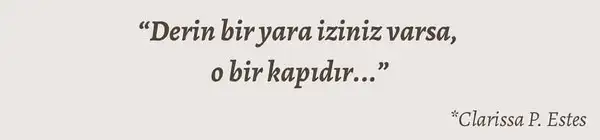 t22 (9).webp