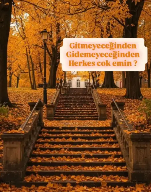 t22.webp