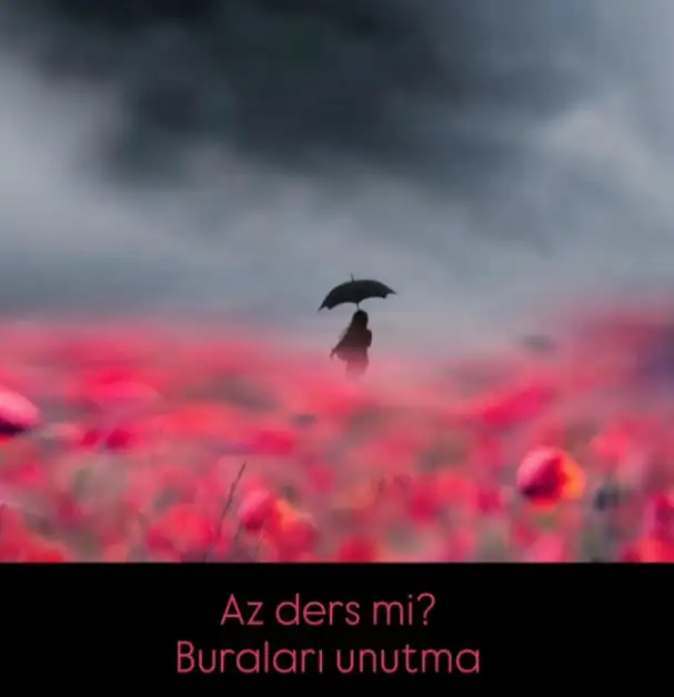 t22.webp