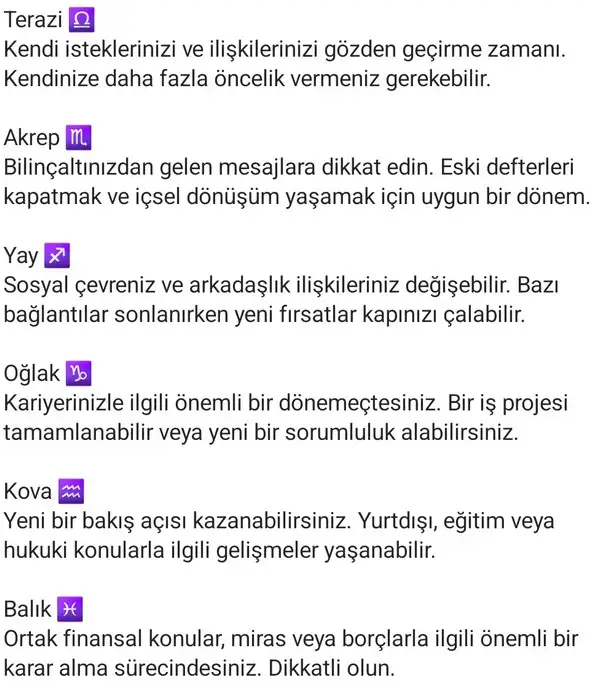 t23 (3).webp