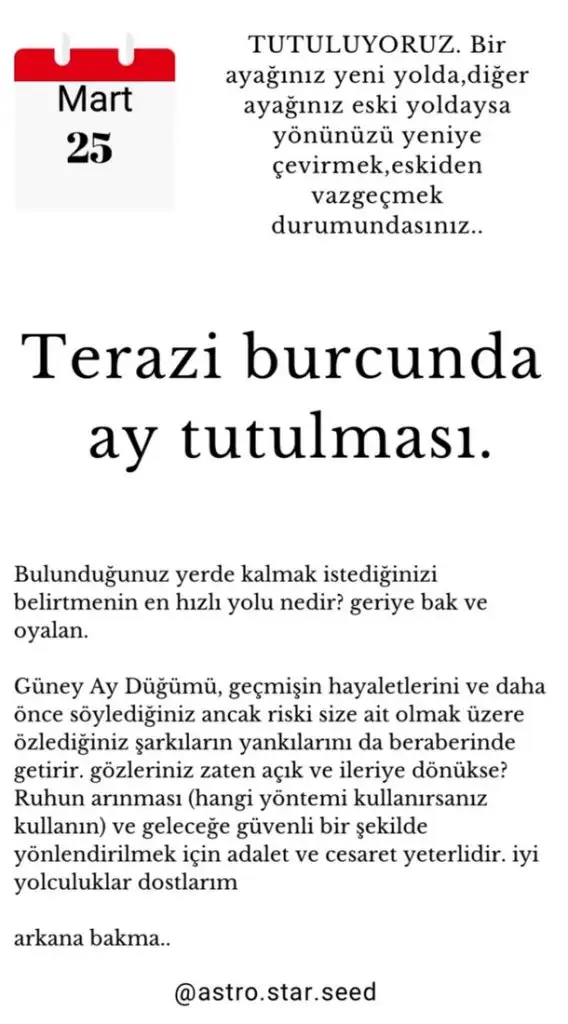 t26.webp