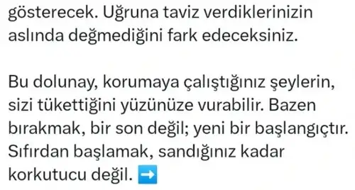 t28 (3).webp