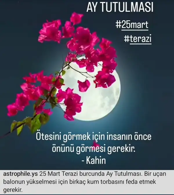 t29.webp