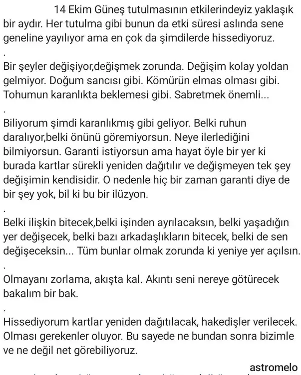 t3 (2).webp