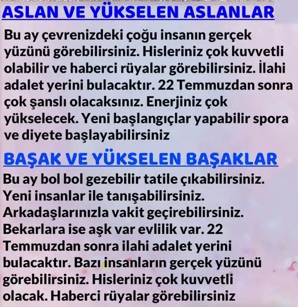 t3 (4).webp