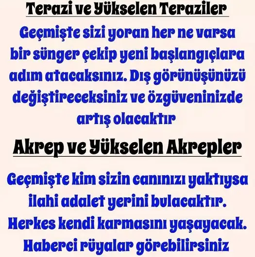 t3 (5).webp