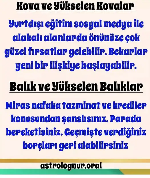 t3 (7).webp