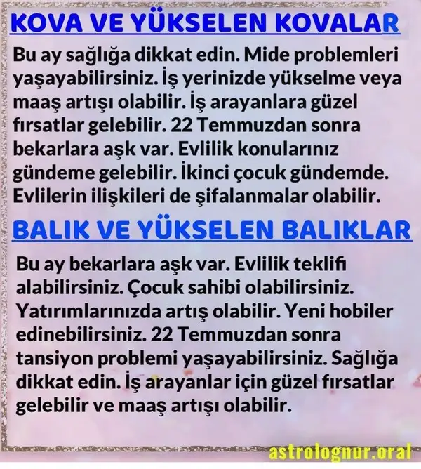 t3 (7).webp