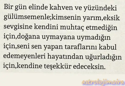 t3.webp