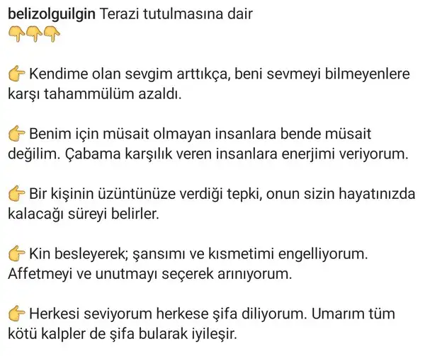 t30.webp