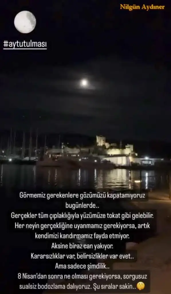 t31.webp