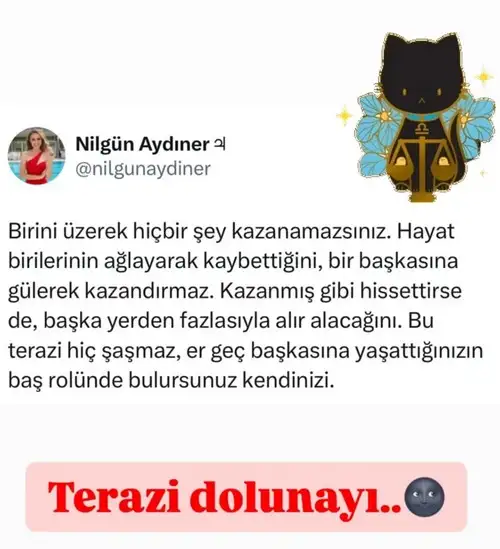 t31.webp