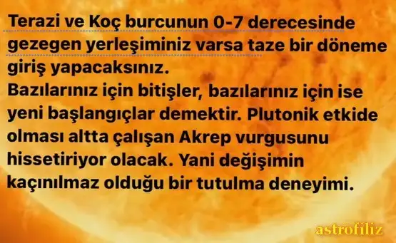 t32 (1).webp