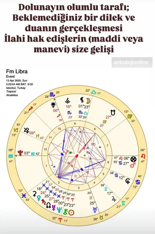 t32 (3).webp