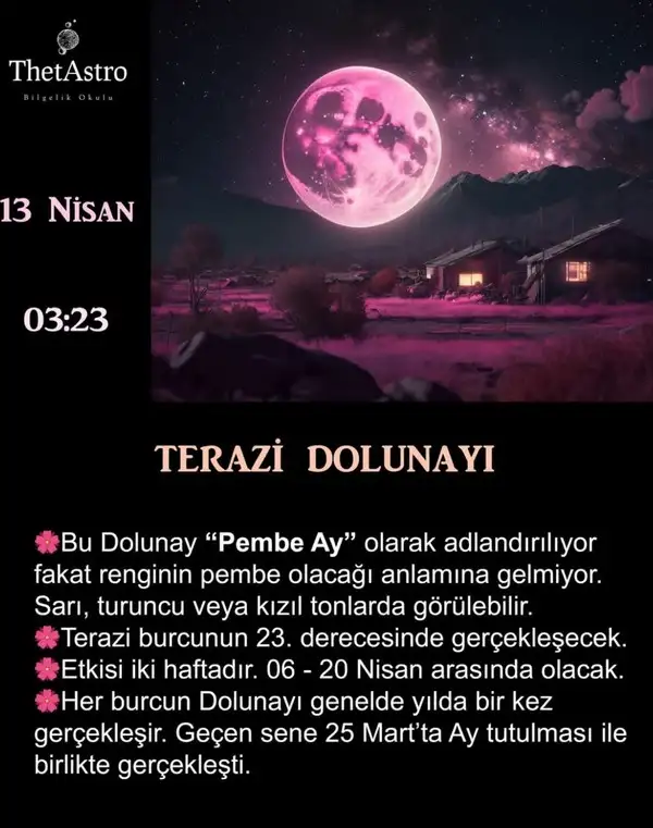 t33 (1).webp