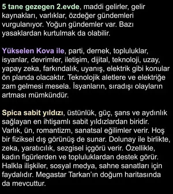 t33 (6).webp