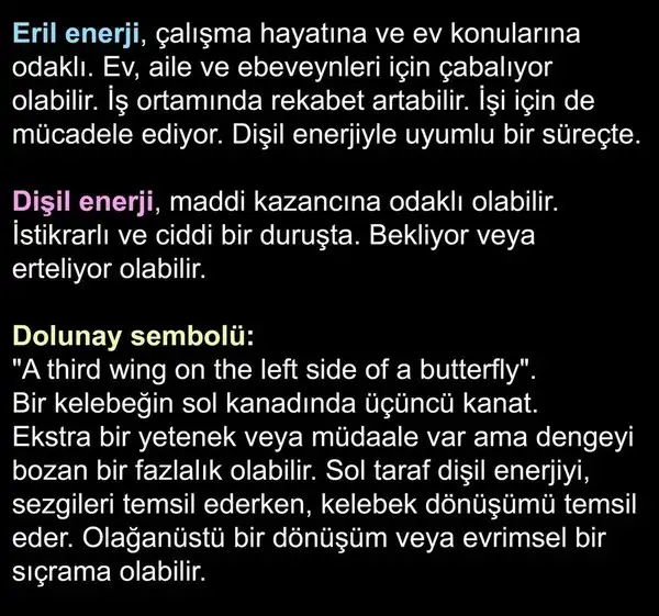 t33 (7).webp