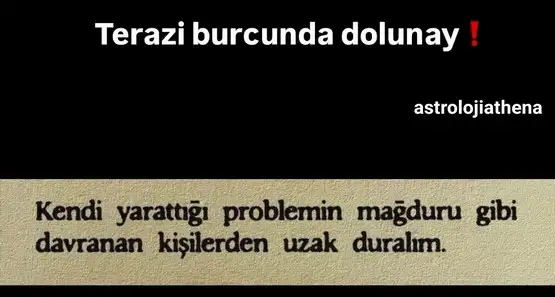 t34.webp