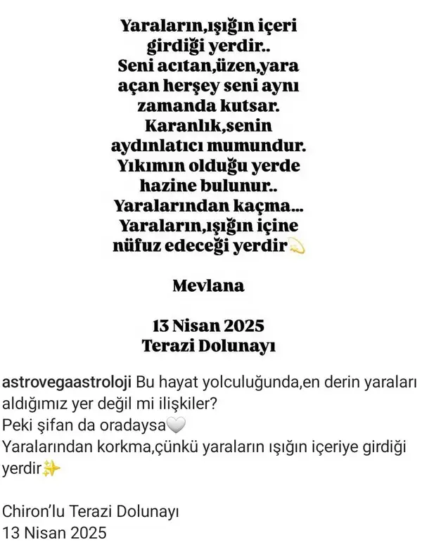 t35.webp