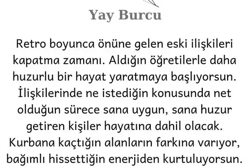 t36 (10).webp
