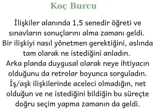 t36 (2).webp