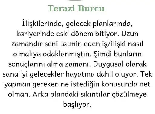 t36 (8).webp