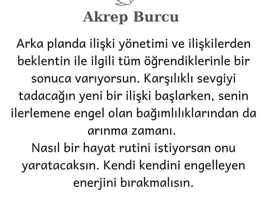 t36 (9).webp