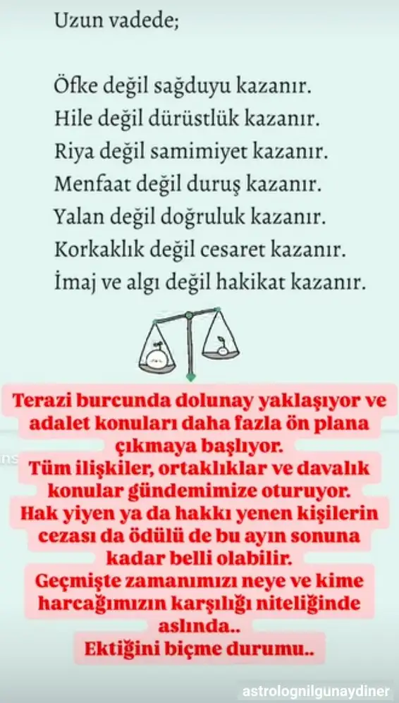 t37.webp