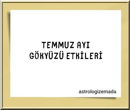 t5 (1).webp