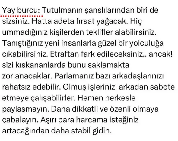 t5 (10).webp