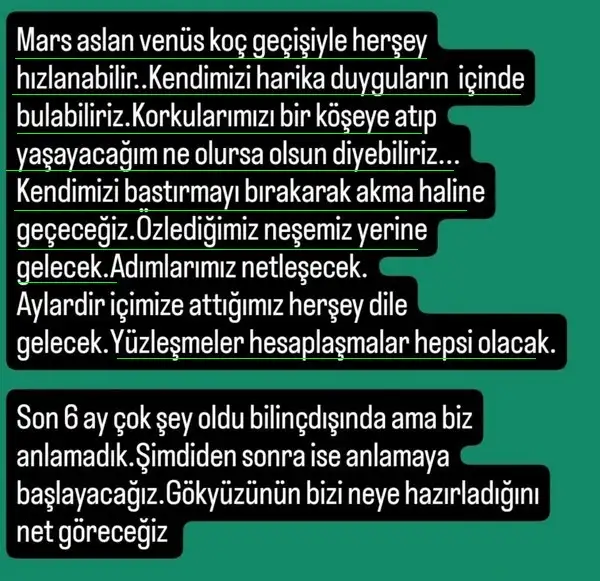 t5 (4).webp