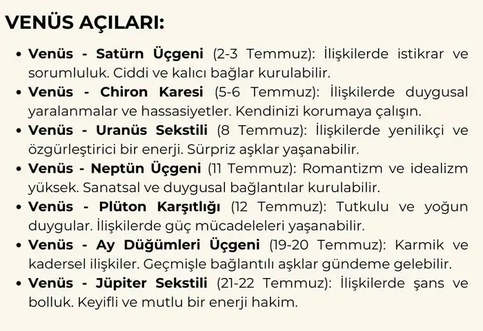 t5 (6).webp
