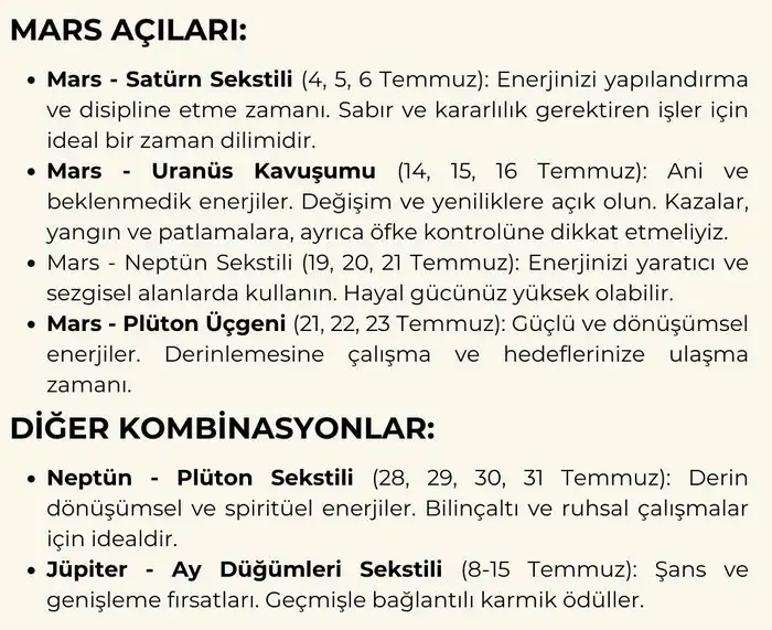 t5 (7).webp