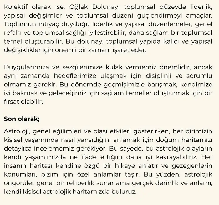 t5 (9).webp