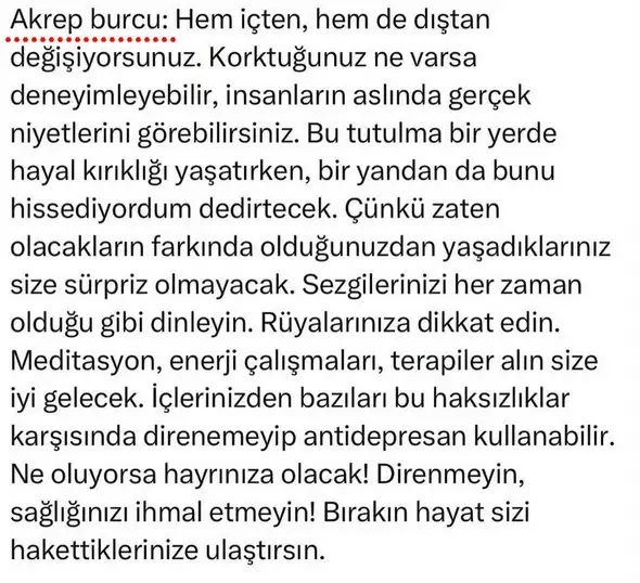 t5 (9).webp