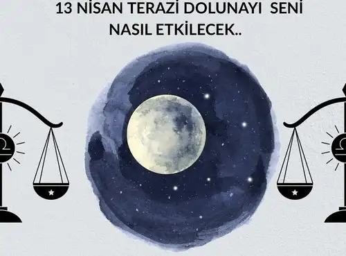 t5.webp