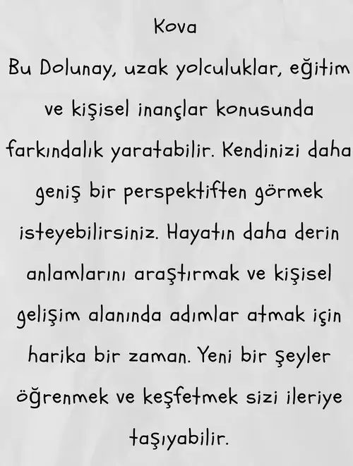 t6 (11).webp