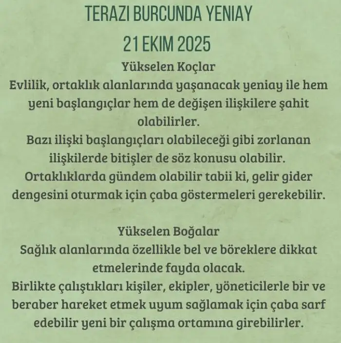 t6 (2).webp