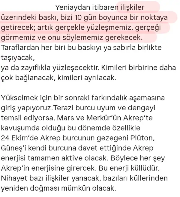 t6 (2).webp