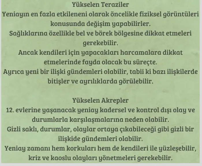 t6 (5).webp