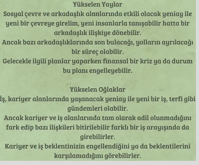 t6 (6).webp