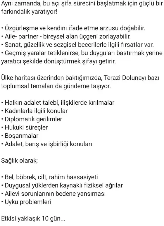 t6 (9).webp